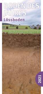 Stauwasserboden - der Boden des Jahres 2015 © Kuratorium Boden des Jahres